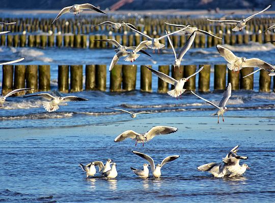 Ustka letni wypoczynek nad morzem